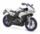 2009 Buell 1125R photo